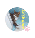 tsuna♥（個別スタンプ：1）