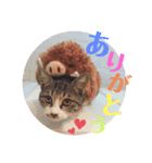tsuna♥（個別スタンプ：2）