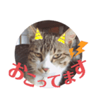 tsuna♥（個別スタンプ：5）