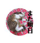tsuna♥（個別スタンプ：7）