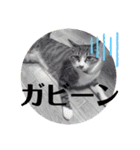 tsuna♥（個別スタンプ：8）