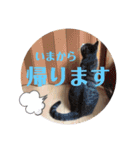 tsuna♥（個別スタンプ：10）
