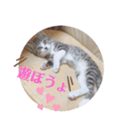 tsuna♥（個別スタンプ：11）