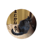 tsuna♥（個別スタンプ：14）