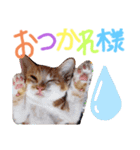 弟のしじみくん（個別スタンプ：2）