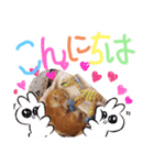 弟のしじみくん（個別スタンプ：4）