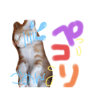 弟のしじみくん（個別スタンプ：7）