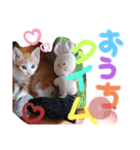 弟のしじみくん（個別スタンプ：8）