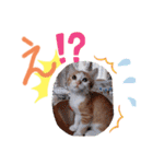 弟のしじみくん（個別スタンプ：12）