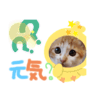 弟のしじみくん（個別スタンプ：14）