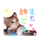 弟のしじみくん（個別スタンプ：16）