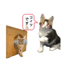 魔女の子3（個別スタンプ：19）
