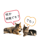 魔女の子3（個別スタンプ：20）