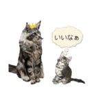 魔女の子3（個別スタンプ：30）