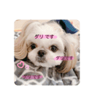 ダリ 日常（個別スタンプ：1）