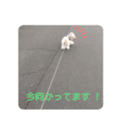 ダリ 日常（個別スタンプ：4）