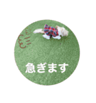 ダリ 日常（個別スタンプ：7）