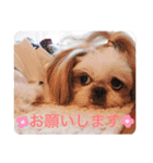 ダリ 日常（個別スタンプ：9）