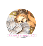 ダリ 日常（個別スタンプ：11）