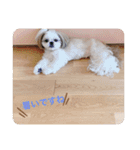 ダリ 日常（個別スタンプ：12）