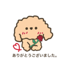 ふわふわトイプードル。敬語ver.（個別スタンプ：1）