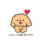 ふわふわトイプードル。敬語ver.（個別スタンプ：4）