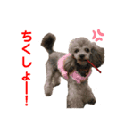 もふもふZOO.2（個別スタンプ：13）