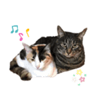 もふもふZOO.2（個別スタンプ：14）