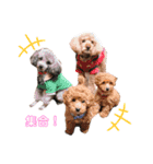 もふもふZOO.2（個別スタンプ：15）