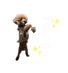 もふもふZOO.2（個別スタンプ：16）