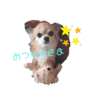 犬れお（個別スタンプ：3）