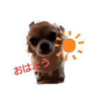 犬れお（個別スタンプ：4）