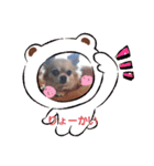 犬れお（個別スタンプ：6）