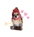 犬れお（個別スタンプ：8）