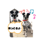 クッキー部長（個別スタンプ：1）