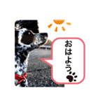 クッキー部長（個別スタンプ：4）