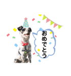 クッキー部長（個別スタンプ：6）
