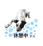 クッキー部長（個別スタンプ：9）
