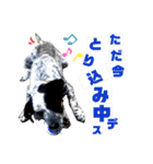 クッキー部長（個別スタンプ：11）