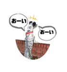 クッキー部長（個別スタンプ：13）