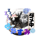 クッキー部長（個別スタンプ：15）