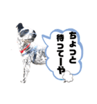 クッキー部長（個別スタンプ：22）