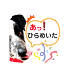 クッキー部長（個別スタンプ：24）