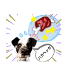 クッキー部長（個別スタンプ：25）