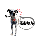クッキー部長（個別スタンプ：29）