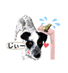 クッキー部長（個別スタンプ：31）