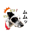 クッキー部長（個別スタンプ：32）