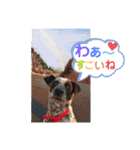 クッキー部長（個別スタンプ：33）