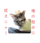 NEDO（個別スタンプ：3）