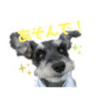 T家のどうぶつ（個別スタンプ：8）